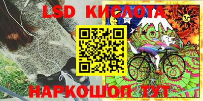 Альфа ПВП Сланцы