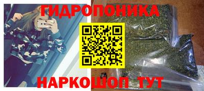 стафф Славгород