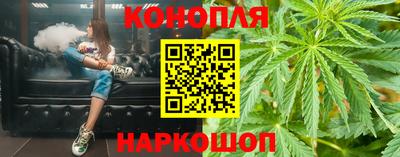 стафф Славгород