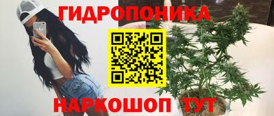 крисы Славянск-на-Кубани
