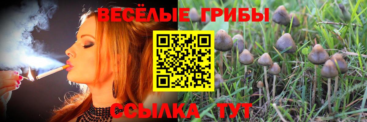 Нововоронеж  Галлюциногенные грибы мухоморы  что такое наркотик  Вход с VPN 